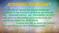 Page 2: Grooming presentation